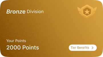 Bronze Tier